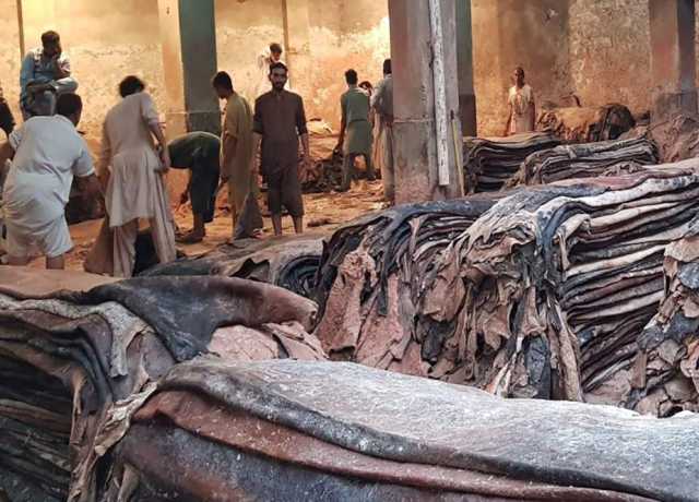 سندھ حکومت نے قربانی کی کھالیں جمع کرنے کا ضابطہ اخلاق جاری کردیا