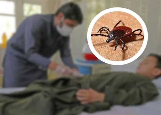 سندھ، عیدالاضحیٰ کے دوران کانگو وائرس سے بچاؤ کیلئے آگاہی مہم کا آغاز