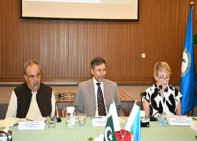 افغانستان میں عسکریت پسندوں کی موجودگی علاقائی سلامتی کے لیے خطرہ ہے، امریکی تھنک ٹینک