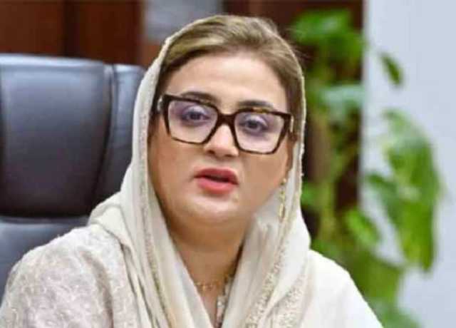 سندھ کا بلدیاتی نظام اپنی ہی حکومت کا کوڑا اٹھانے کے قابل نہیں، عظمیٰ بخاری