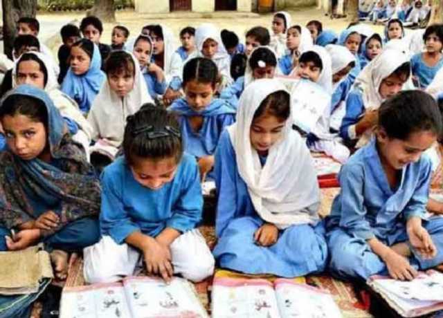ایک سال میں خواندگی کی شرح 60 فیصد رہی، اقتصادی سروے