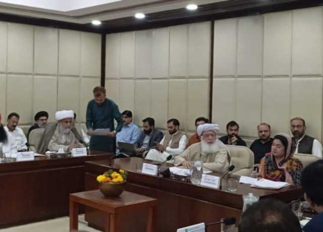 علامہ راجہ ناصر عباس نے زائرین کا مسئلہ سینیٹ کی قائمہ کمیٹی میں اٹھادیا، محسن نقوی طلب