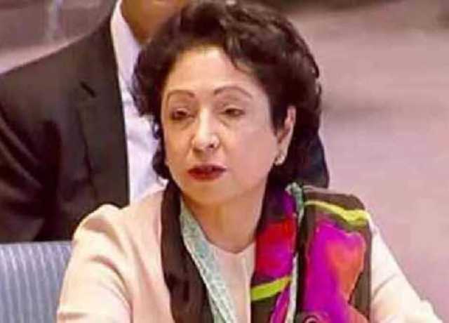 پاکستان نے ڈپلومیٹک کارڈ بہتر انداز میں کھیلا، ملیحہ لودھی