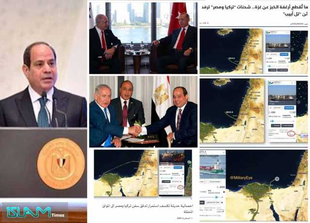 غزہ کے محاصرے میں مصر کی شرکت سے متعلق دعوے بے بنیاد ہیں، السیسی