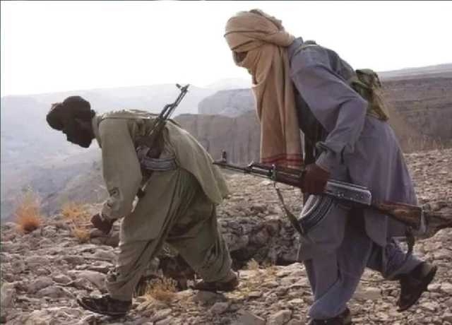باجوڑ میں خارجیوں کو نہیں نکال سکتے تو علاقہ خالی کر دیں، سیکیورٹی حکام