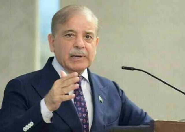 شہباز شریف کا اسرائیلی کابینہ کے فیصلے پر اہم بیان سامنے آگیا