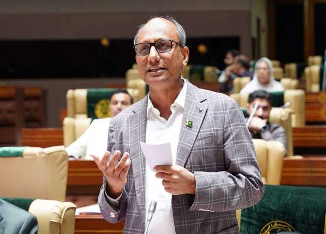 اقلیتوں کے دن کو ہم رسمی طور پر نہیں مناتے بلکہ اس کو محسوس بھی کرتے ہیں، سعید غنی
