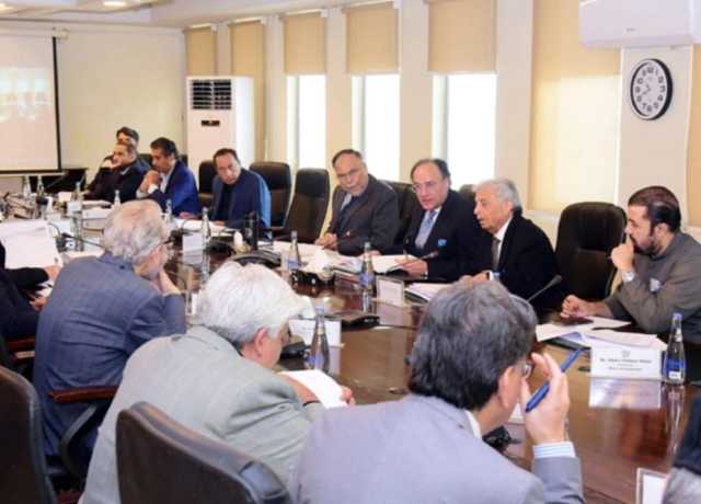 ای سی سی اجلاس، پاکستان اسٹیل ملز کی زمین پر انڈسٹریل اسٹیٹ کے قیام کی منظوری
