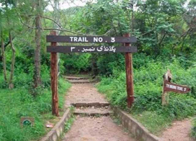 بارشوں کے باعث مارگلہ ہلز کے ٹریلز بند رکھنے کا فیصلہ