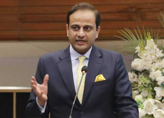 ہر چیز کا الزام میئر اور ڈپٹی میئر پر لگادیا جاتا ہے، مرتضیٰ وہاب