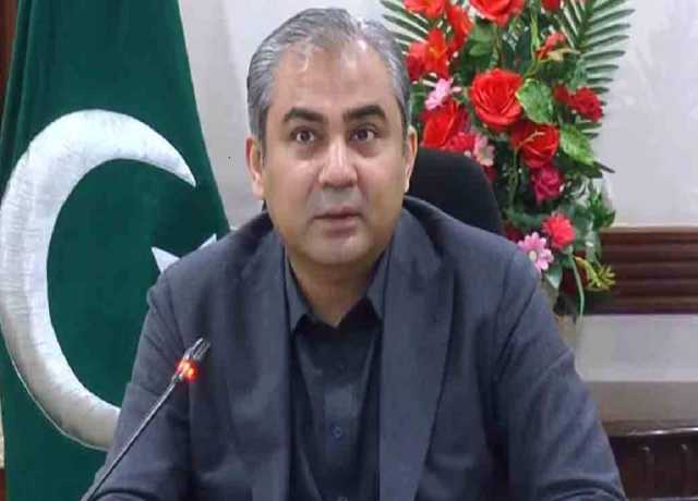 کشمیری شہداء کے لہو سے اٹھنے والی آزادی کی پکار کو دبایا نہیں جا سکتا، محسن نقوی