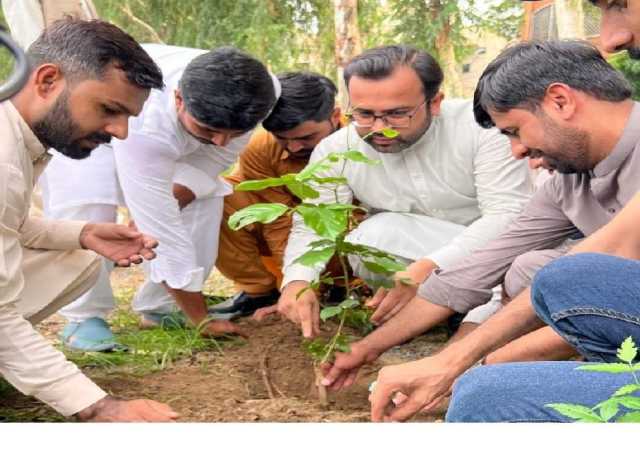مصطفوی سٹوڈنٹس موومنٹ کی جانب سے ملک گیر شجرکاری مہم کا آغاز 