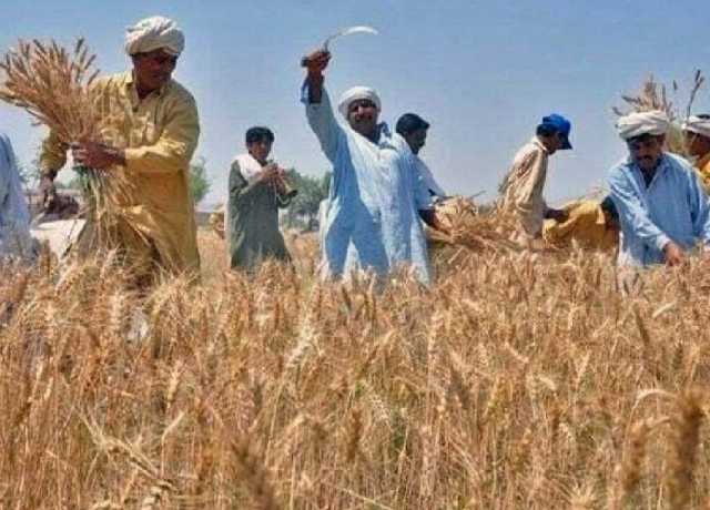 سندھ حکومت نے موسمیاتی تبدیلی سے نمٹنے کیلئے کسانوں کی تربیت شروع کر دی