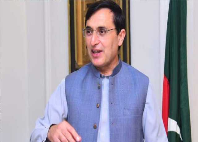ہمارا ایجنڈا ریاست مخالف نہیں، پی ٹی آئی معرکہ حق میں بھی پیش پیش تھی، بیرسٹر گوہر