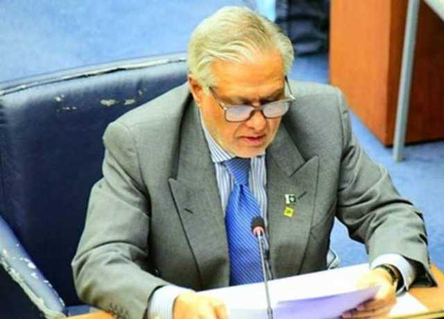 غزہ کے عوام تاریخی المیے کا سامنا کر رہے، جنگ فوری بند کی جائے، اسحاق ڈار