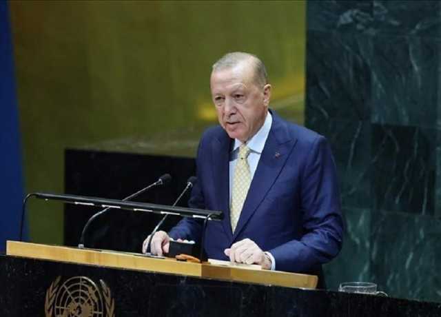 اسرائیلی وحشت گری اور بربریت احمقانہ ہے، اردوغان