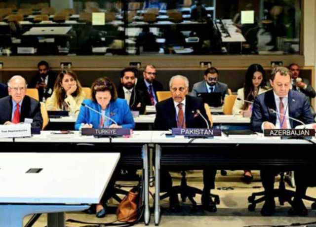 کشمیر پر او آئی سی رابطہ گروپ کا اجلاس، وادی کی بگڑتی صورتحال پر اظہار تشویش