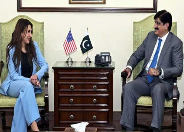 امریکی اداروں کا تعاون ہمارے لئے انتہائی قیمتی ہوگا، وزیراعلیٰ سندھ