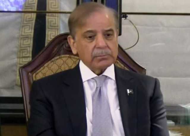 گردشی قرض تمام وسائل نگل رہا تھا، مسئلے سے نمٹنا بہت بڑی کامیابی ہے، شہباز شریف