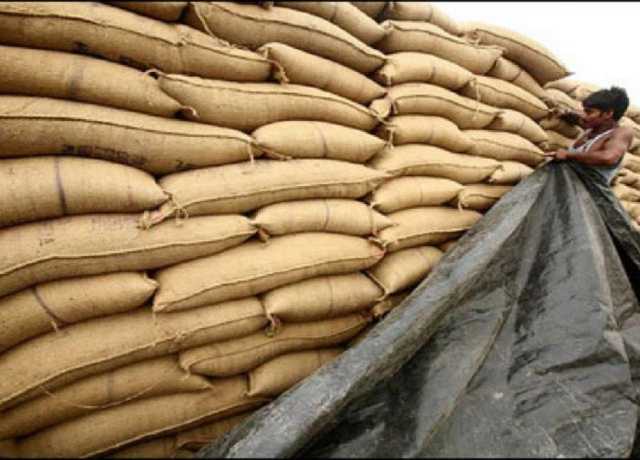 وزیراعلیٰ سندھ نے گندم کی مارکیٹ میں موجودگی کو یقینی بنانے کی ہدایت کر دی