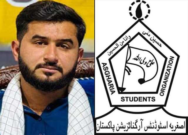 صمود فلوٹیلا پر اسرائیلی جارحیت اور بربریت کی شدید مذمت کرتے ہیں، ثقلین علی جعفری