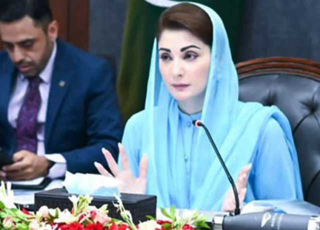 آوارہ کتوں کے کاٹنے سے شہریوں اور بچوں کا زخمی ہونا ناقابل برداشت ہے، مریم نواز