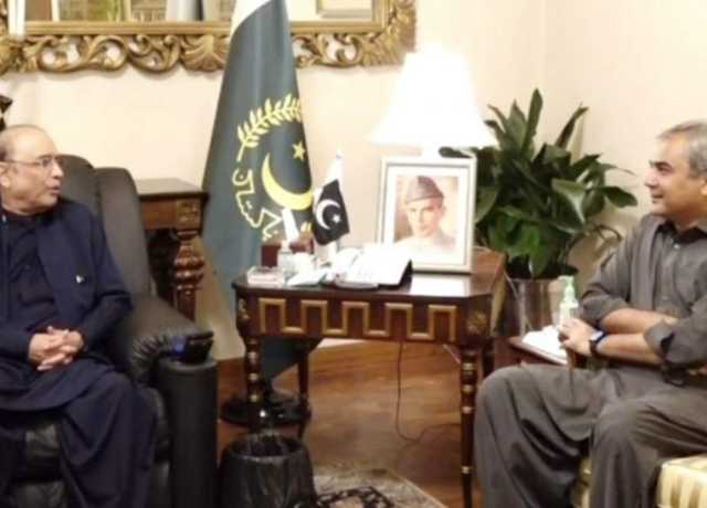 آصف زرداری کی محسن نقوی کو سیاسی کشیدگی میں کمی کیلئے کردار ادا کرنے کی ہدایت