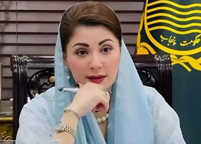 حق سچ کی آواز اٹھانے والے صحافیوں پر ظلم و تشدد بند ہونا چاہیے، مریم نواز