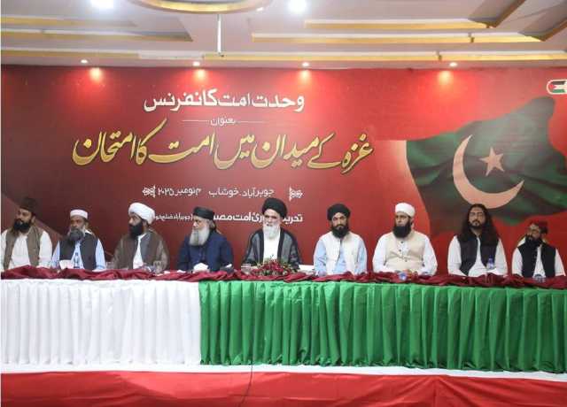 غزہ کا المیہ پوری امت اور انسانیت کا امتحان ہے، حکمران فیل ہو چکے ہیں،علامہ جواد نقوی