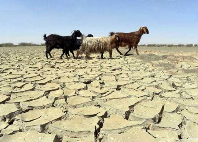بلوچستان، 11 اضلاع میں بارشیں 80 فیصد تک کم، خشک سالی کے آثار نمایاں