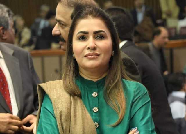 پیپلز پارٹی نے آئینی عدالت کے قیام کی تائید کی ہے، شازیہ مری