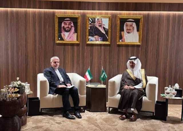 ایران اور سعودی عرب کے درمیان ثقافتی تعاون اسلامی وحدت کی مثال بن سکتا ہے، سید رضا صالحی‌ امیری