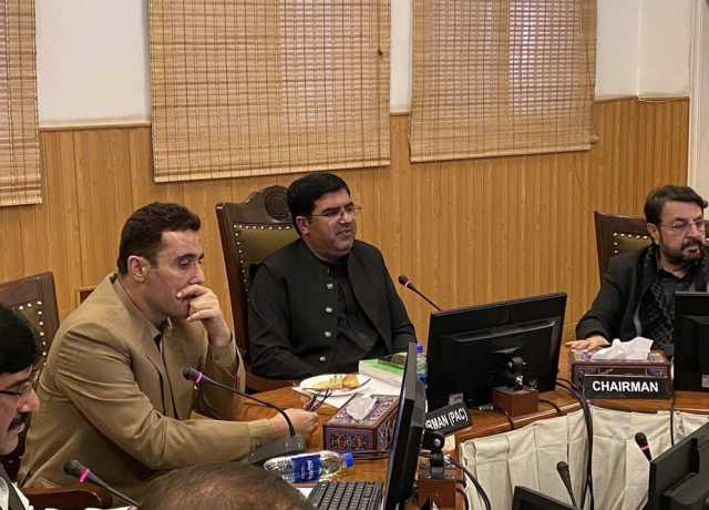 کوئٹہ، پبلک اکاؤنٹس کمیٹی کا اجلاس، لیویز آڈٹ رپورٹ کا جائزہ