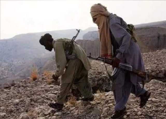 بنوں اور لکی مروت میں آپریشن، 5 خارجی دہشت گرد ہلاک