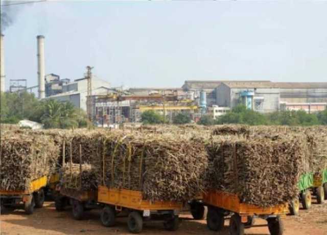 گنے کی ریکارڈ پیداوار کے باوجود ملک کی 90 فیصد ملیں غیرفعال ہونے کا انکشاف