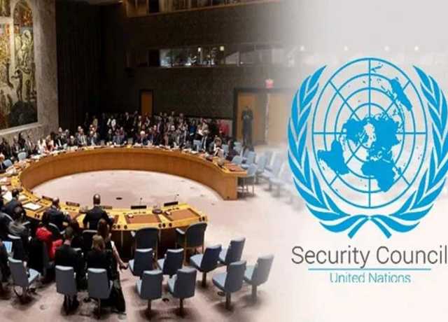 سلامتی کونسل نے ٹرمپ کے غزہ پلان کی قرارداد بھاری اکثریت سے منظور کر لی