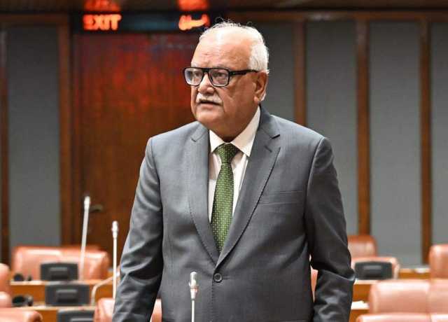 پیپلز پارٹی صرف سیاسی جماعت نہیں بلکہ جمہوری جدوجہد کی تحریک ہے، وقار مہدی