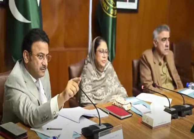 قائمہ کمیٹی برائے داخلہ کا کراچی میں اجلاس، منشیات، لینڈ مافیا، سائبر کرائم اور کچہ آپریشنز پر تفصیلی بریفنگ