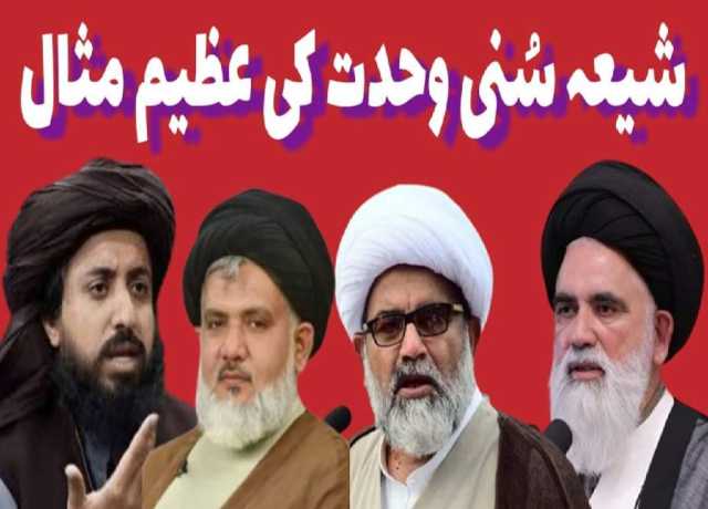 ٹی ایل پی کا احتجاج، شیعہ قائدین کا ردعمل