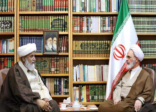 قم المقدس، سینیٹر علامہ راجہ ناصر عباس جعفری کی آیت اللہ علی رضا اعرافی سے ملاقات