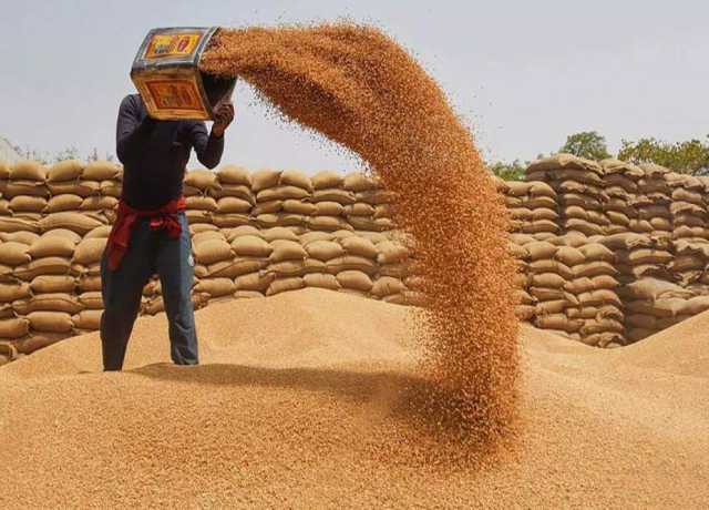 سندھ کا وفاق سے ملکی سطح پر گندم کی امدادی قیمت مقرر کرنے کا مطالبہ