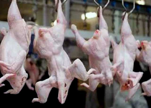 کراچی میں مردہ مرغیوں کے گوشت کی سپلائی کا انکشاف