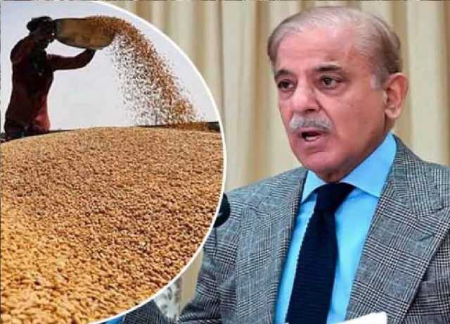حکومت نے 2025-2026 کیلئے گندم پالیسی کی منظوری دے دی، ریٹ 3500 روپے من مقرر