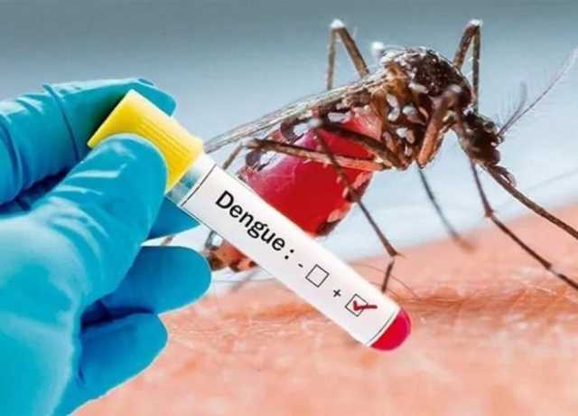 سندھ میں ڈینگی حملوں کا سلسلہ جاری، کیسز کی مجموعی تعداد 920 ہوگئی