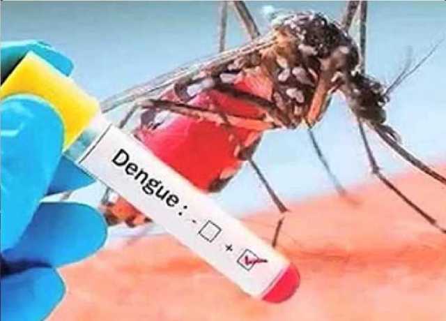 سندھ، ڈینگی اور ملیریا ٹیسٹ کی قیمتوں میں نمایاں کمی کا اعلان