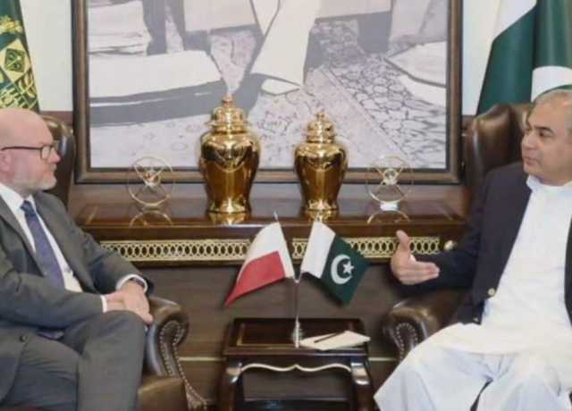 محسن نقوی سے میچے ڈشچک کی ملاقات، دوطرفہ تعلقات پر گفتگو