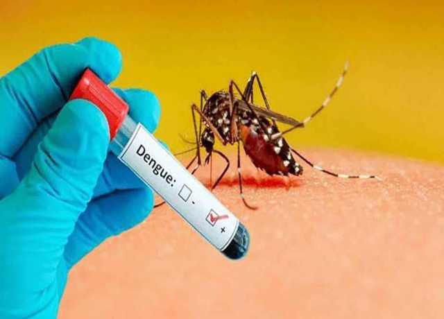 سندھ میں رواں ماہ ڈینگی بے قابو، 439 کیسز رپورٹ ہوئے، محکمہ صحت کی تازہ رپورٹ