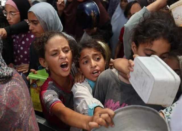 غزہ میں 6 لاکھ 50 ہزار بچے تعلیم سے محروم ہیں، یونیسف