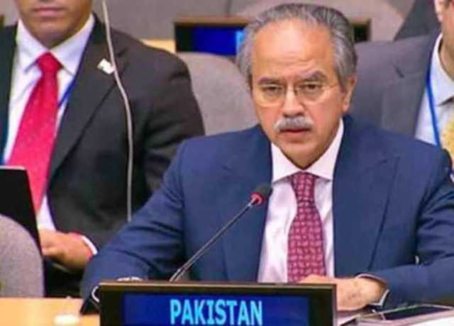 سلامتی کونسل میں پاکستان کی سوڈانی علاقے الفشر پر آر ایس ایف کے قبضے کی مذمت