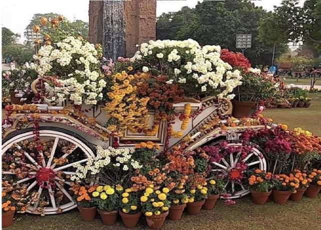 لاہور کے جیلانی پارک میں سالانہ گلِ داؤدی کی نمائش کی تیاریاں مکمل